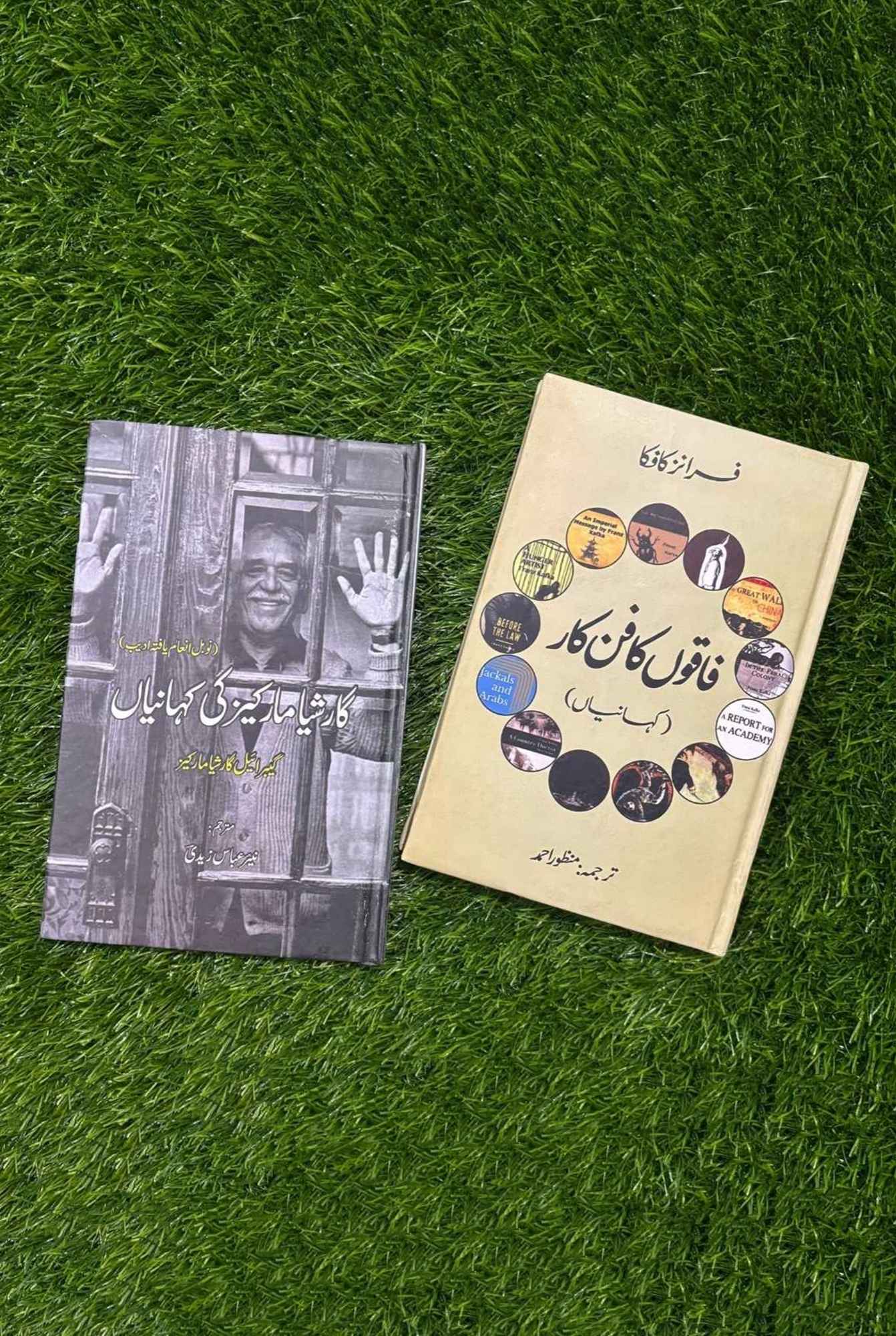 فاقوں کا فن کار | کہانیاں | فرانز کافکا | گارشیا مارکیز کی کہانیاں | گیبریل گارشیا مارکیز | Books Deals